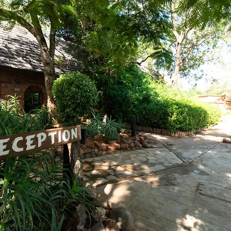 Mohlabetsi Safari Lodge-3