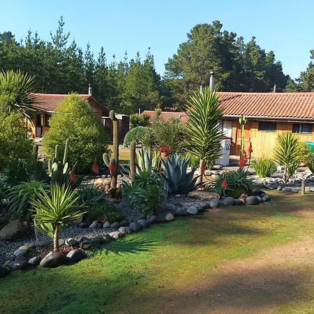 Eco Cabanas Algarrobo-3