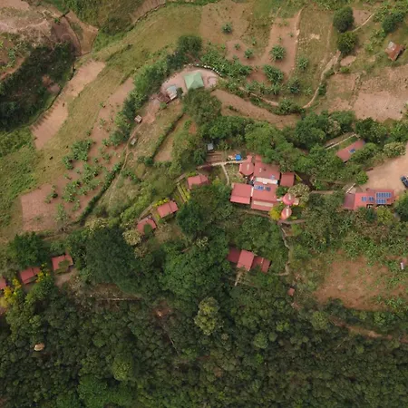 Chameleon Hill Forest Lodge-2