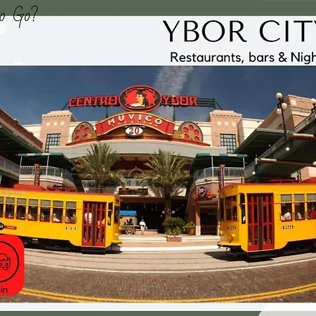 Cozy Home In Tampa Near Ybor & Busch Gardens-3