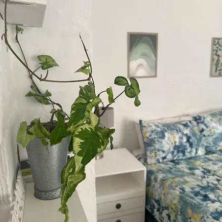Corner Cottage - All To Yourself-2
