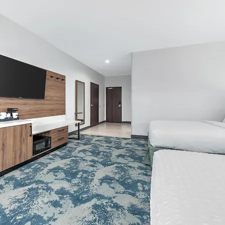 Hampton Inn & Suites Irving Hwy 183-2