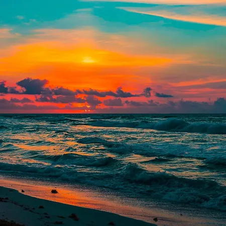 Quiet Mornings In Centro Playa, King & 2Br Duplex Suites, Sleeps 2-8, Ado Bus 2 Min, 5Th Ave 3 Min, Beach & Cozumel Ferry 4 Min, Cenotes 20 Min, Kitchenette Wifi Ac-2