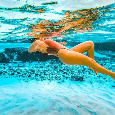 Quiet Mornings In Centro Playa, King & 2Br Duplex Suites, Sleeps 2-8, Ado Bus 2 Min, 5Th Ave 3 Min, Beach & Cozumel Ferry 4 Min, Cenotes 20 Min, Kitchenette Wifi Ac-3