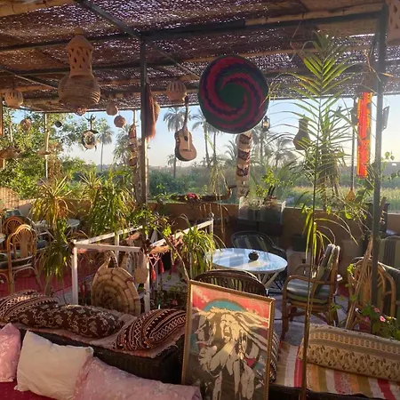 Peace Garden Hostel & Camp-2