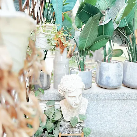 Kinoko House-3