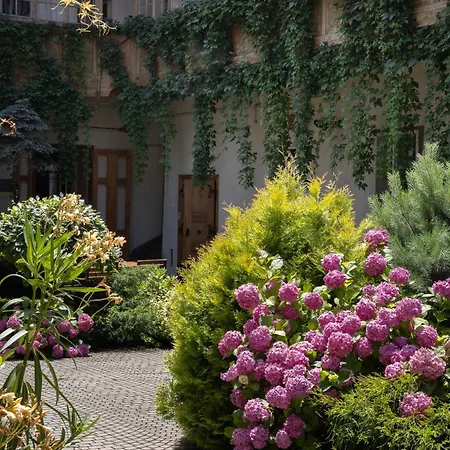 Jules Home-3