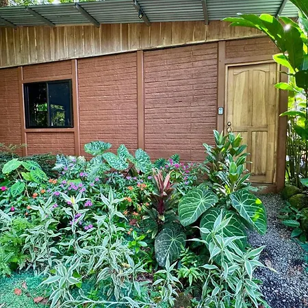 The Frog House-3