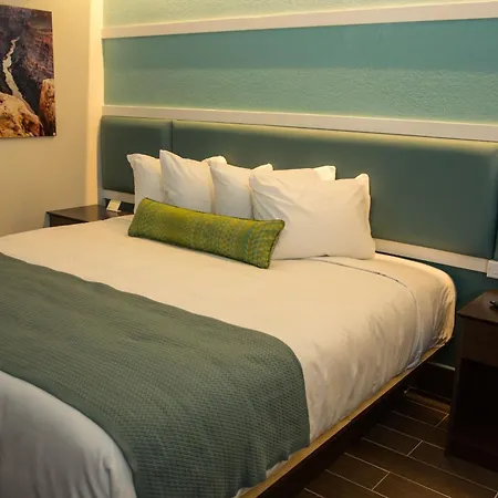 The Flagler Inn - Saint Augustine-3