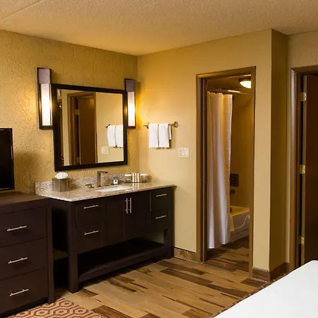 Doubletree Suites By Hilton Tucson-Williams Center-3