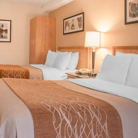 Comfort Inn Airport-2