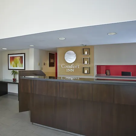 Comfort Inn Airport-3
