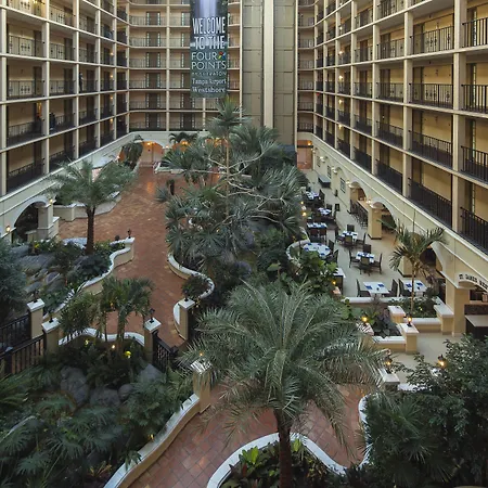 Four Points By Sheraton Suites Tampa Airport Westshore-2