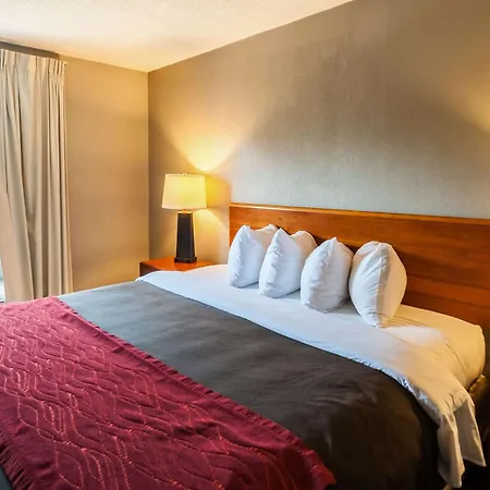 Quality Inn Solomons - Beacon Marina-2