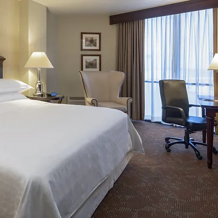 Sheraton Houston Brookhollow Hotel-2