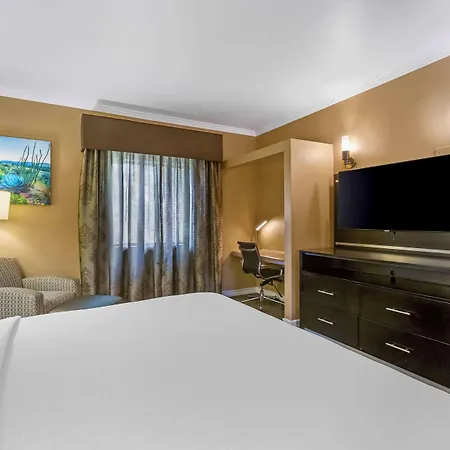 Royal Sun Hotel & Suites-2