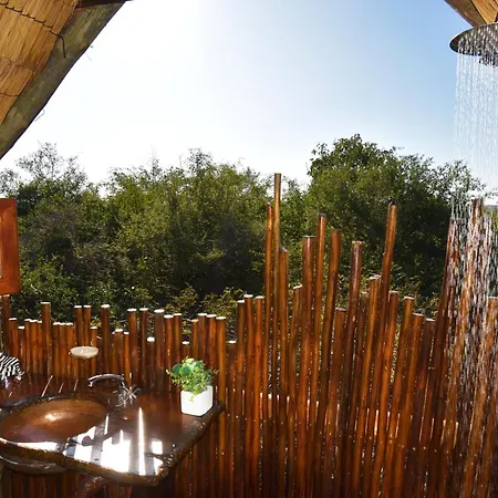 Pezulu Tree House Lodge-3