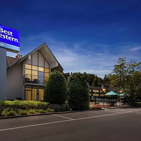 Best Western Toni Inn-2