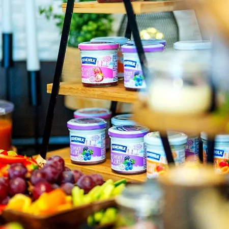Wellness Hotel Liberecka Vysina-2