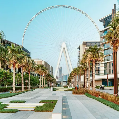 Tratoli Jbr Shared Hostel With Sea View-2