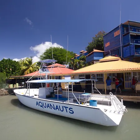 True Blue Bay Resort-2