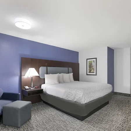 Surestay Plus Hotel By Best Western Gatlinburg-3
