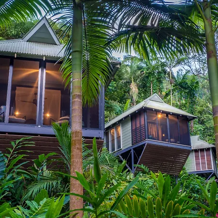 Daintree Ecolodge-3