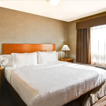 Canalta Hotel Brooks-3