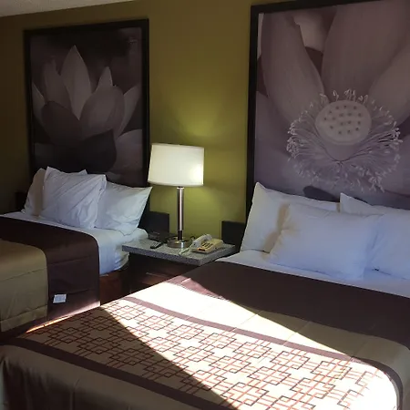 Super 8 By Wyndham Raleigh North East-3
