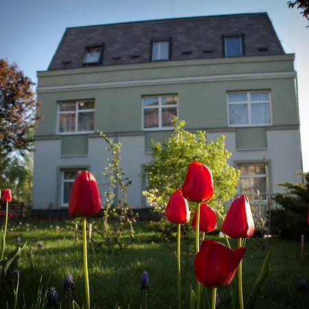Jagello Business Hotel-2