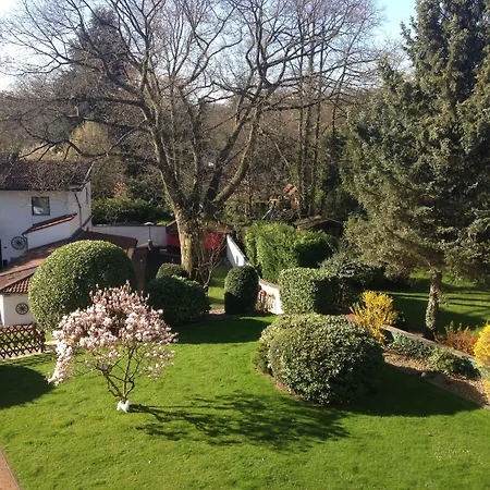Hotel Haus Am Zoo-3
