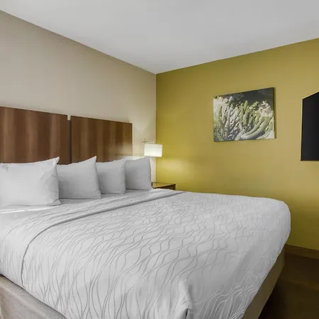Best Western North Phoenix Hotel-3