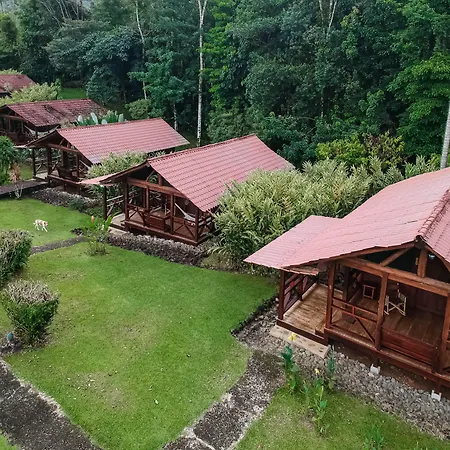 La Anita Rain Forest-2