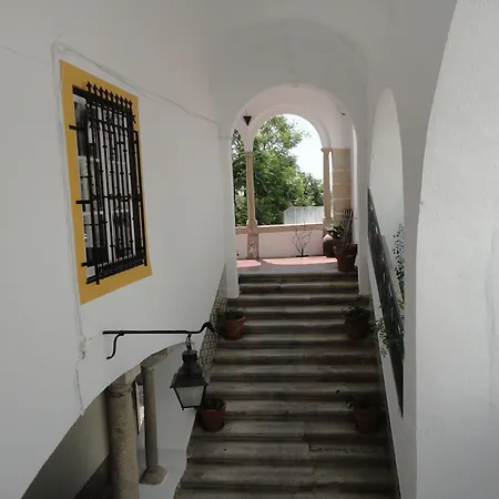 Hotel Solar De Monfalim-2