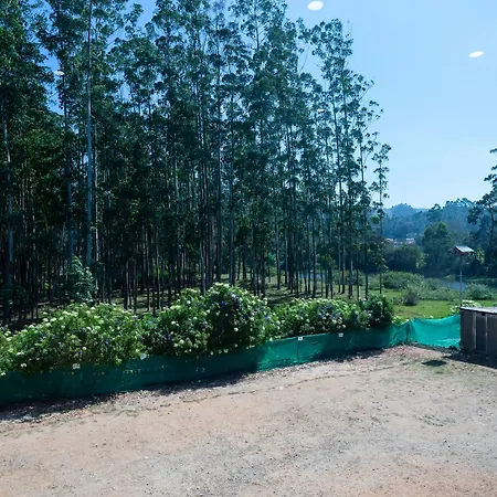 Hillview Munnar-2