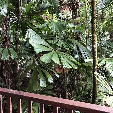 Daintree Wilderness Lodge-3