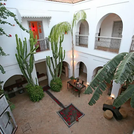 Riad O2-3
