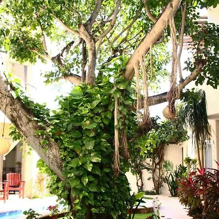 Boutique Hotel Posada 06 Tulum (Adults Only)-3