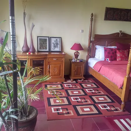 Bali Paradise Hotel Boutique Resort-3