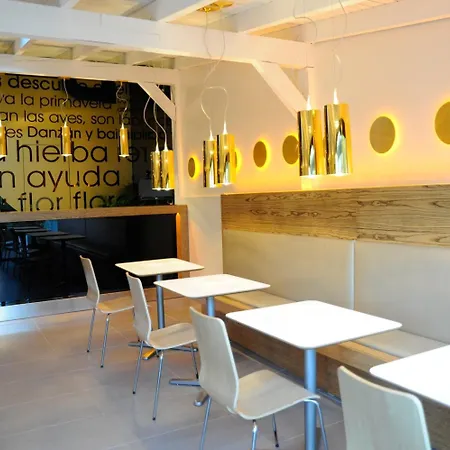 Hotel Domus-2