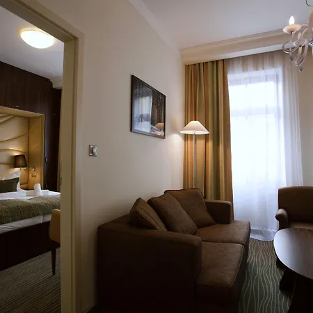 Hotel Ambiente Wellness & Spa-2
