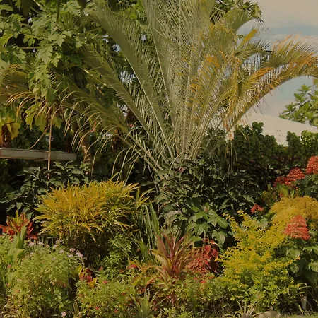 Savaii Lagoon Resort-3