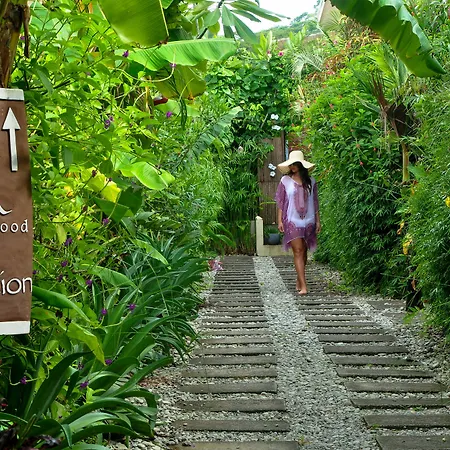 Nautilus Surf & Yoga Villas Santa Teresa-3