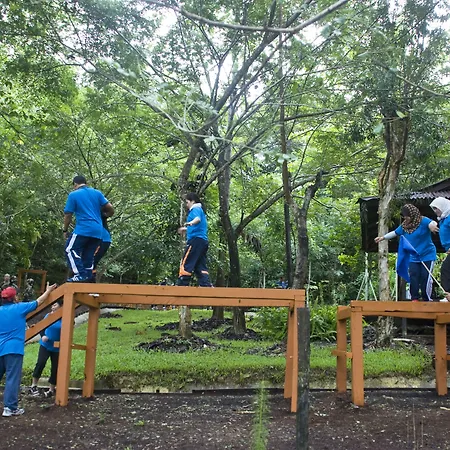 Borneo Tropical Rainforest Resort-2