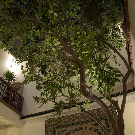 Riad Granvilier-2