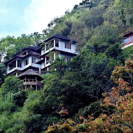 Blackberry Hills Munnar Nature Resort & Spa-3