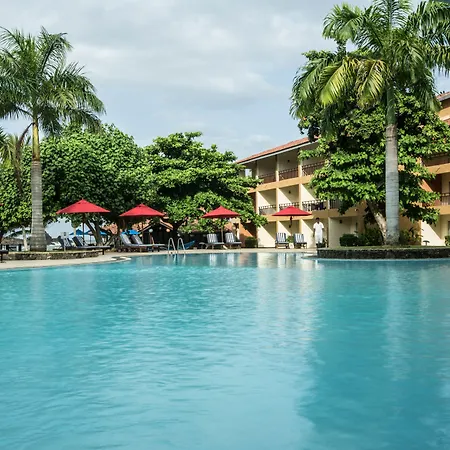 The Palms-2