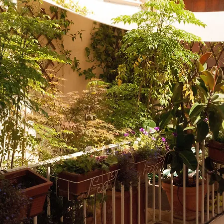Relais Teatro Argentina-3