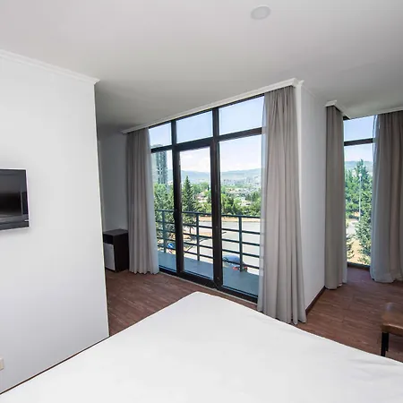 Hotel Shine Palace-3