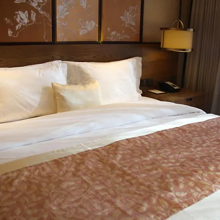 Hualuxe Shanghai Twelve At Hengshan By Ihg-3